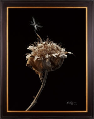 A framed, hyperrealistic print of a dried plant stalk with a single dandelion seed resting on it.