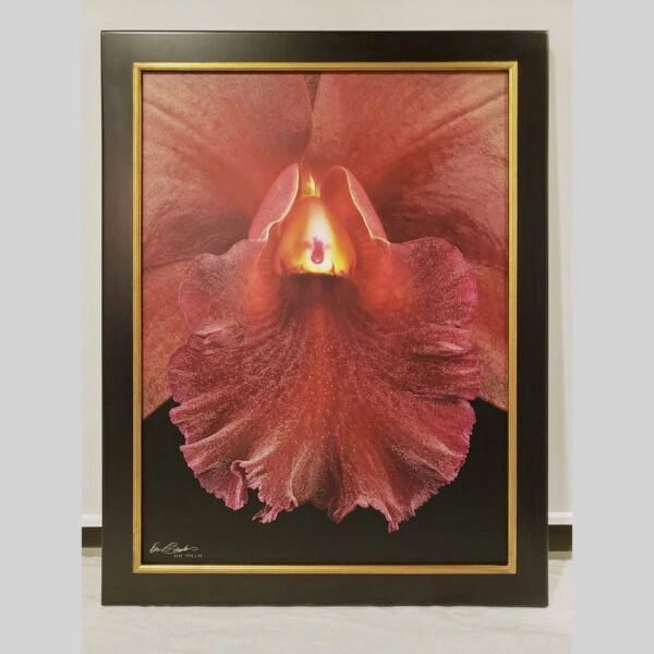 Framed Orchid Study - Documentation - 02 Photographic documentation of a physical, museum-grade orchid study and custom frame by Kevin G. Saunders. This close-up capture verifies the material texture and depth of the manual artistry produced at 107 Blue Star. Physical reality asset; not a digital mockup.