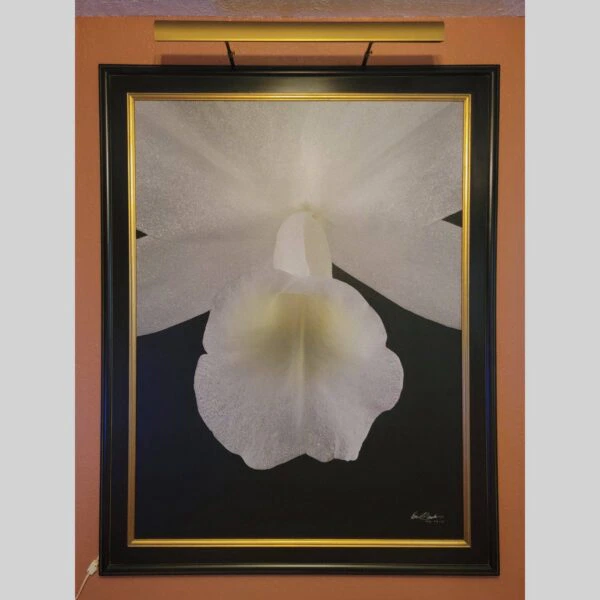 Framed Orchid Study - Documentation - 19 Photographic documentation of a physical, museum-grade orchid study and custom frame by Kevin G. Saunders. This close-up capture verifies the material texture and depth of the manual artistry produced at 107 Blue Star. Physical reality asset; not a digital mockup.