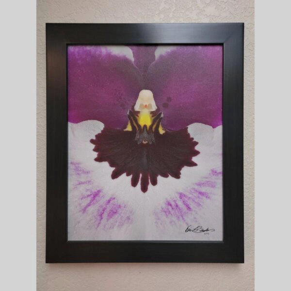 Framed Orchid Study - Documentation - 27 Photographic documentation of a physical, museum-grade orchid study and custom frame by Kevin G. Saunders. This close-up capture verifies the material texture and depth of the manual artistry produced at 107 Blue Star. Physical reality asset; not a digital mockup.