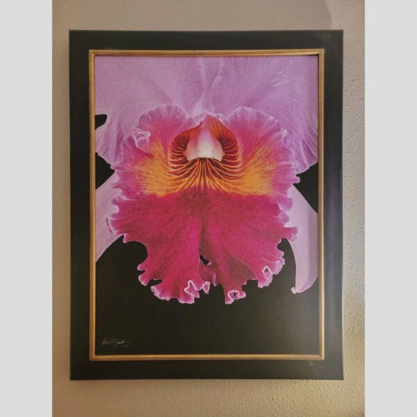 Framed Orchid Study - Documentation - 48 Photographic documentation of a physical, museum-grade orchid study and custom frame by Kevin G. Saunders. This close-up capture verifies the material texture and depth of the manual artistry produced at 107 Blue Star. Physical reality asset; not a digital mockup.