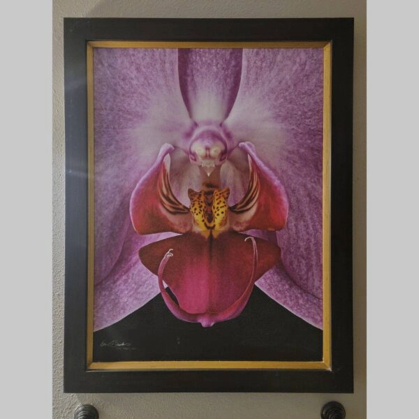 Framed Orchid Study - Documentation - 56 Photographic documentation of a physical, museum-grade orchid study and custom frame by Kevin G. Saunders. This close-up capture verifies the material texture and depth of the manual artistry produced at 107 Blue Star. Physical reality asset; not a digital mockup.