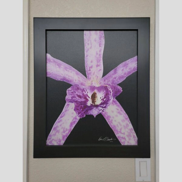 Framed Orchid Study - Documentation - 59 Photographic documentation of a physical, museum-grade orchid study and custom frame by Kevin G. Saunders. This close-up capture verifies the material texture and depth of the manual artistry produced at 107 Blue Star. Physical reality asset; not a digital mockup.