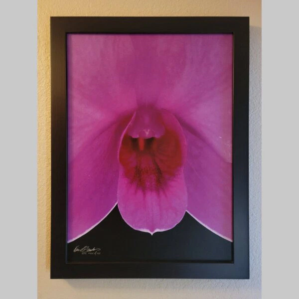 Framed Orchid Study - Documentation - 60 Photographic documentation of a physical, museum-grade orchid study and custom frame by Kevin G. Saunders. This close-up capture verifies the material texture and depth of the manual artistry produced at 107 Blue Star. Physical reality asset; not a digital mockup.
