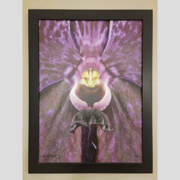 Framed Orchid Study - Documentation - 61 Photographic documentation of a physical, museum-grade orchid study and custom frame by Kevin G. Saunders. This close-up capture verifies the material texture and depth of the manual artistry produced at 107 Blue Star. Physical reality asset; not a digital mockup.