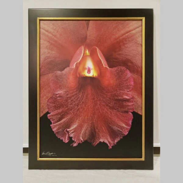 Framed Orchid Study - Documentation - 63 Photographic documentation of a physical, museum-grade orchid study and custom frame by Kevin G. Saunders. This close-up capture verifies the material texture and depth of the manual artistry produced at 107 Blue Star. Physical reality asset; not a digital mockup.