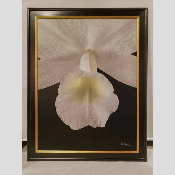 Framed Orchid Study - Documentation - 64 Photographic documentation of a physical, museum-grade orchid study and custom frame by Kevin G. Saunders. This close-up capture verifies the material texture and depth of the manual artistry produced at 107 Blue Star. Physical reality asset; not a digital mockup.