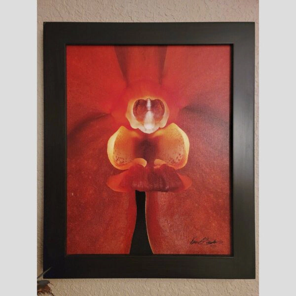 Framed Orchid Study - Documentation - 76 Photographic documentation of a physical, museum-grade orchid study and custom frame by Kevin G. Saunders. This close-up capture verifies the material texture and depth of the manual artistry produced at 107 Blue Star. Physical reality asset; not a digital mockup.