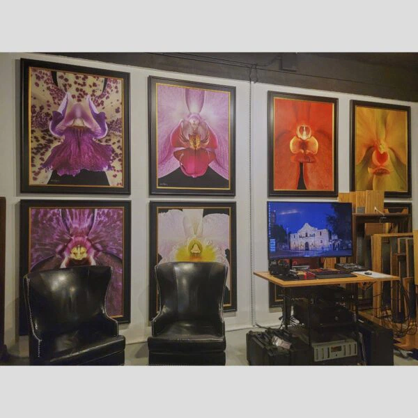 Kevin G Saunders Direct Art Orchid Physical documentation of the 107 Blue Star atelier, verifying the manual hyperrealism environment for Kevin G. Saunders | KGS Studios. This San Antonio atelier proof confirms the tools and lighting used for museum-grade commissions. Physical reality asset; no generative AI used.