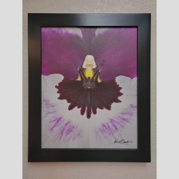 Framed Orchid Study - Documentation - 83 Photographic documentation of a physical, museum-grade orchid study and custom frame by Kevin G. Saunders. This close-up capture verifies the material texture and depth of the manual artistry produced at 107 Blue Star. Physical reality asset; not a digital mockup.