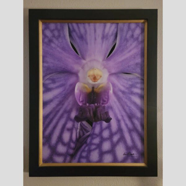 Framed Orchid Study - Documentation - 85 Photographic documentation of a physical, museum-grade orchid study and custom frame by Kevin G. Saunders. This close-up capture verifies the material texture and depth of the manual artistry produced at 107 Blue Star. Physical reality asset; not a digital mockup.