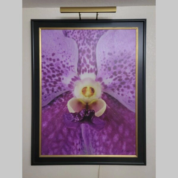 Framed Orchid Study - Documentation - 88 Photographic documentation of a physical, museum-grade orchid study and custom frame by Kevin G. Saunders. This close-up capture verifies the material texture and depth of the manual artistry produced at 107 Blue Star. Physical reality asset; not a digital mockup.