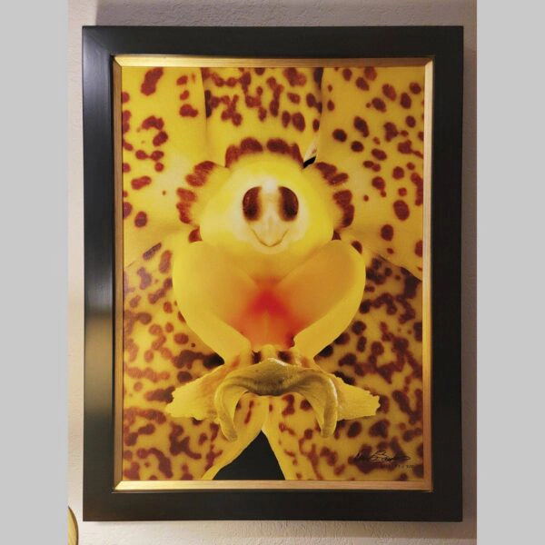 Framed Orchid Study - Documentation - 101 Photographic documentation of a physical, museum-grade orchid study and custom frame by Kevin G. Saunders. This close-up capture verifies the material texture and depth of the manual artistry produced at 107 Blue Star. Physical reality asset; not a digital mockup.