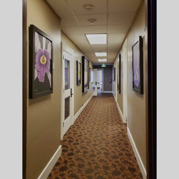 KGS Studios Public Exhibition - Documentation - 14 Physical documentation of Kevin G. Saunders | KGS Studios fine art prints in a public exhibition setting. Verifies the public vetting of manual hyperrealism portraits, orchid studies, and HTTX-97442. San Antonio archive proof of physical reality.