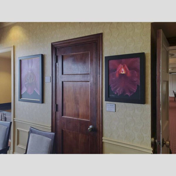 KGS Studios Public Exhibition - Documentation - 63 Physical documentation of Kevin G. Saunders | KGS Studios fine art prints in a public exhibition setting. Verifies the public vetting of manual hyperrealism portraits, orchid studies, and HTTX-97442. San Antonio archive proof of physical reality.