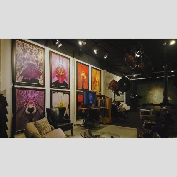 107 Blue Star Atelier Interior - San Antonio 79 Physical documentation of the 107 Blue Star atelier, verifying the manual hyperrealism environment for Kevin G. Saunders | KGS Studios. This San Antonio atelier proof confirms the tools and lighting used for museum-grade commissions. Physical reality asset; no generative AI used.